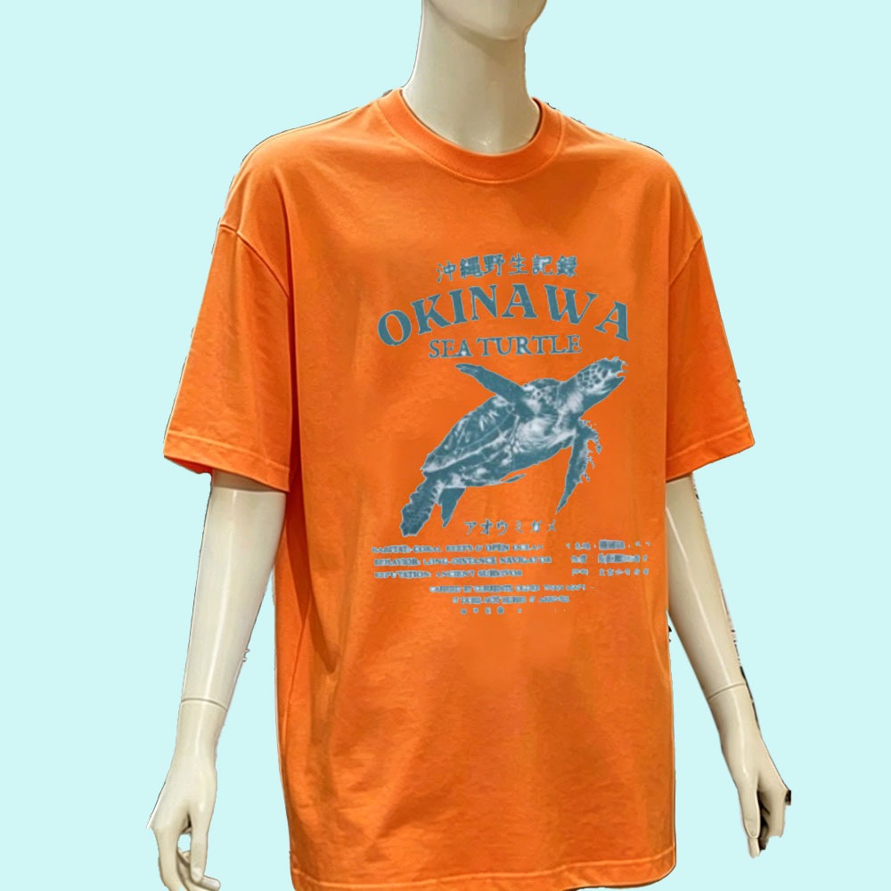 Okinawa Sea Turtle Shirt Japan - Turtleneck Knit 90S recension och pris