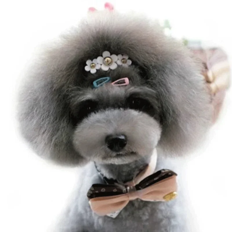 5pc/set Korean Mini 2cm Colorf - Vintage Fashion Doll recension och pris